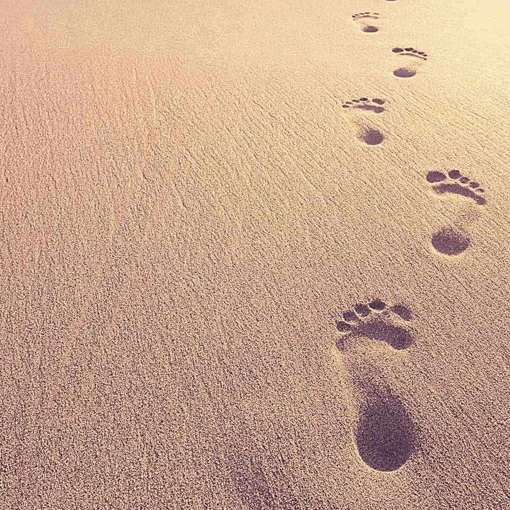 Fußspuren im Sand als Zeichen der Nachhaltigkeit