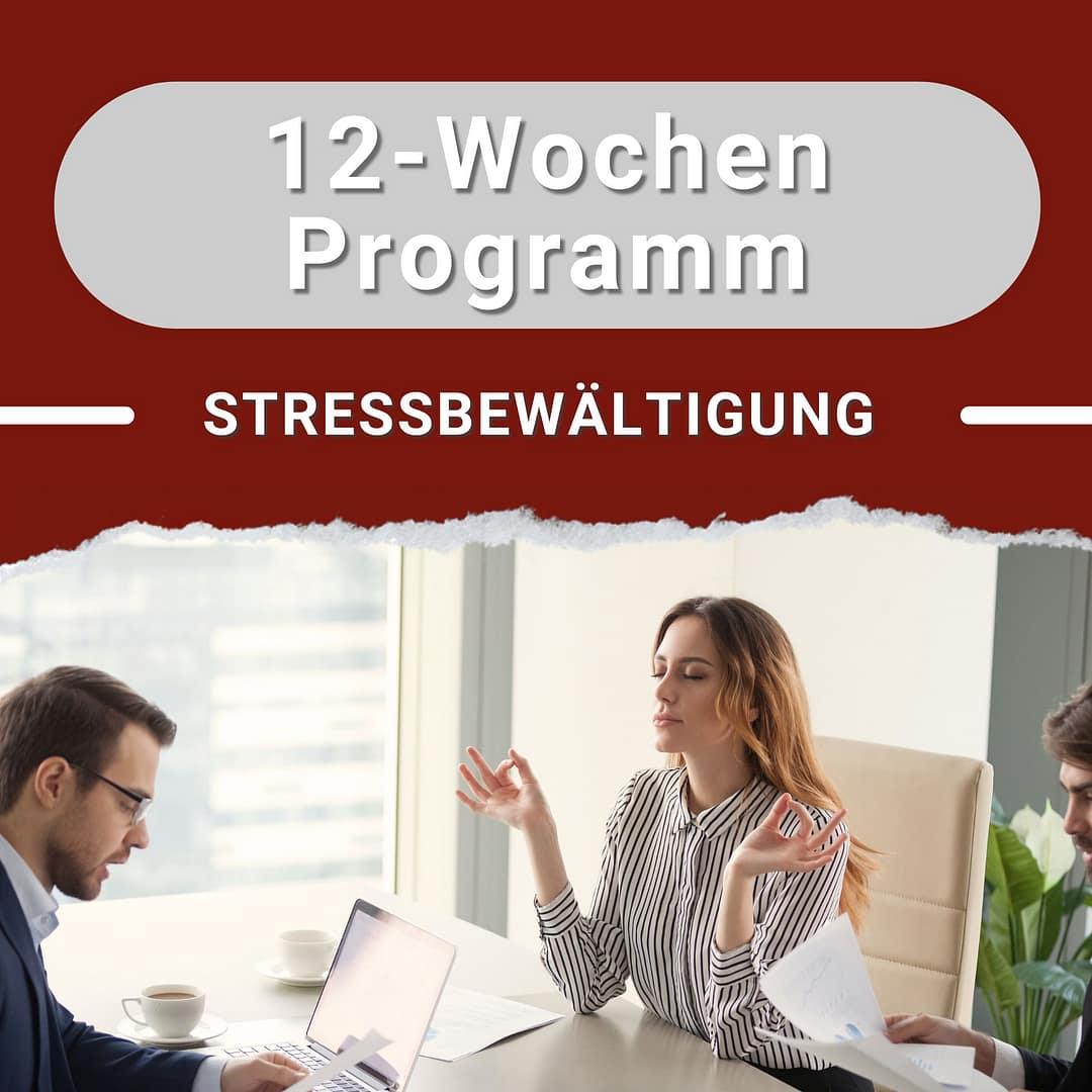 Stressbewältigung am Arbeitsplatz 12 Wochen