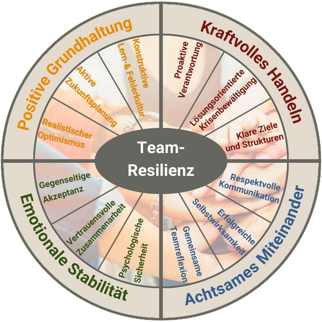 Modell Resilienz im Team
